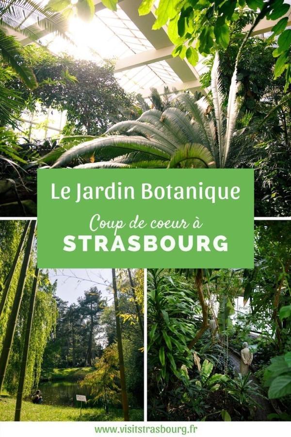 Appartement 6 Personnes Strasbourg Proche Centre Ville & Parking Exteriér fotografie